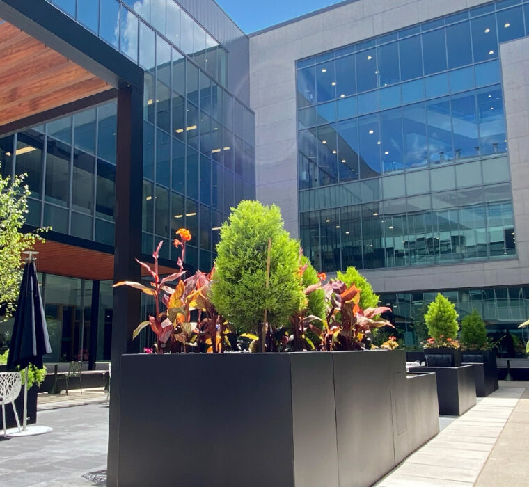 Join modular metal planters from Green Theory at Guelph City Hall courtyard.