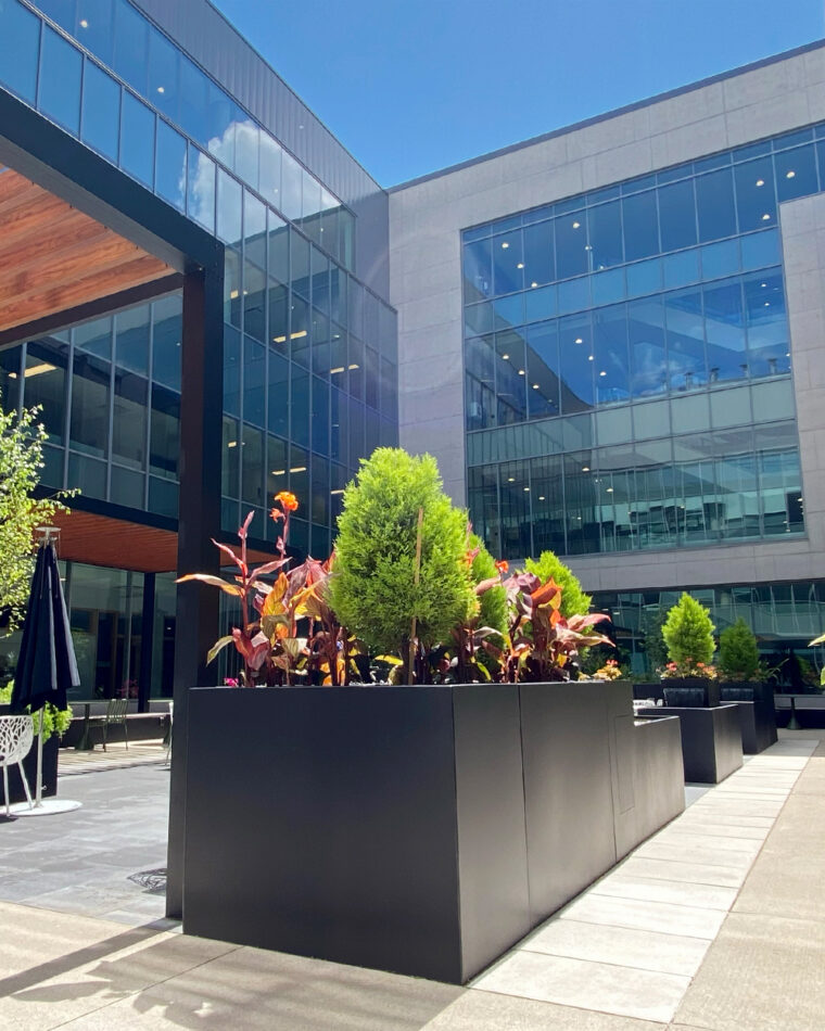 Join modular metal planters from Green Theory at Guelph City Hall courtyard.