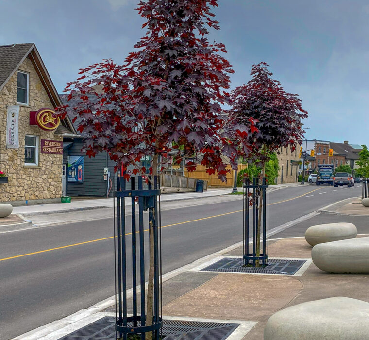 Ironsmith ADA tree grates installed in Elora's East Mill streetscape.