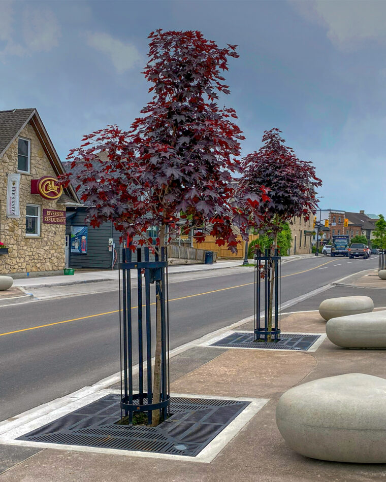Ironsmith ADA tree grates installed in Elora's East Mill streetscape.