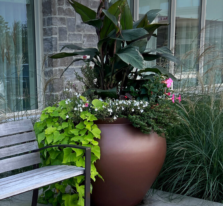Old Town Fiberglass Grecian planter urn at ASC Whitby.