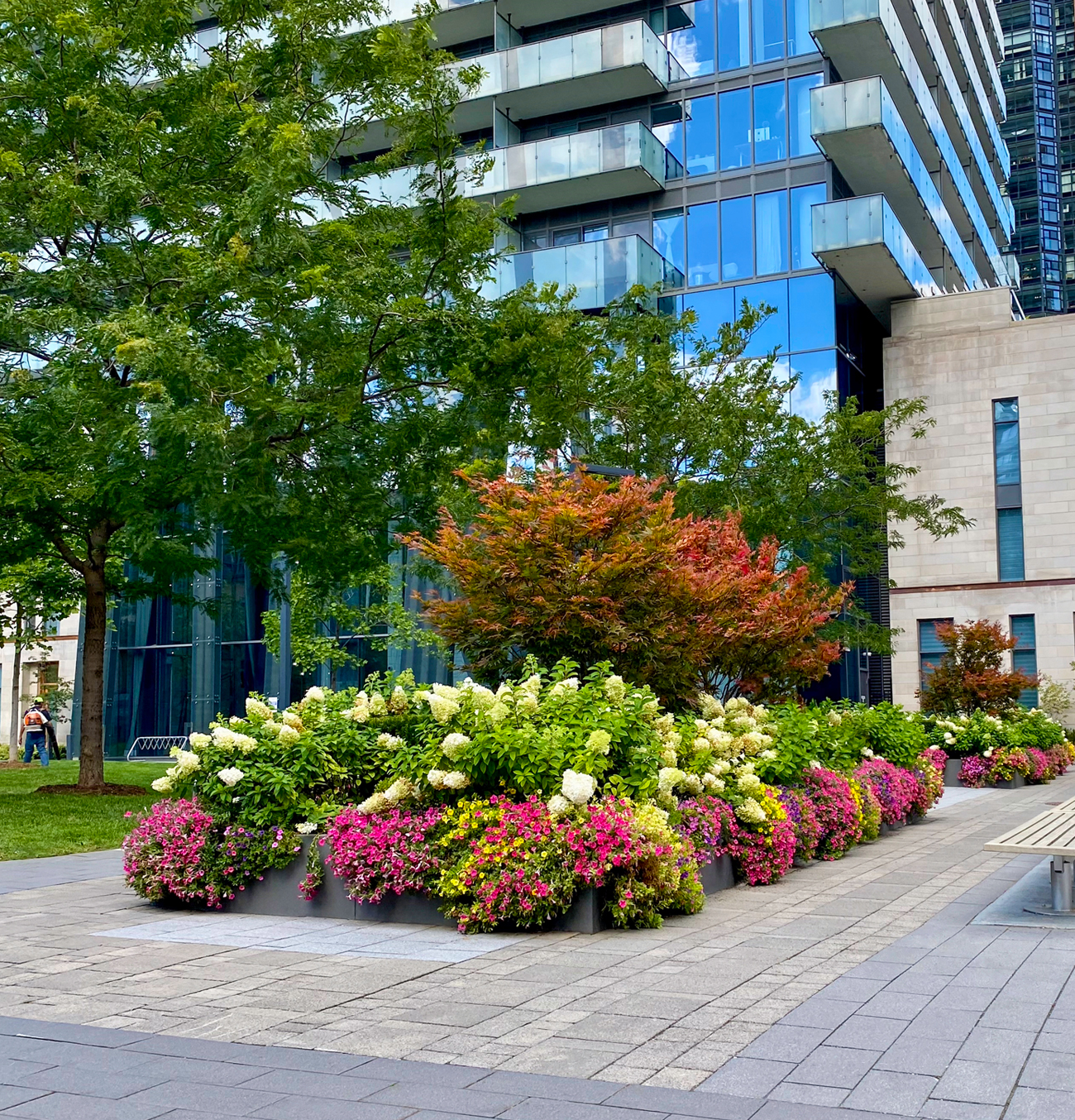 A raised planting bed made from Join Edging by Green Theory, installed on the streetscape of a privately-owned public space at 1080 Bay St. Toronto.