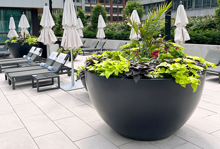 Old Town Fiberglass Matrix planter bowl poolside at Sheraton hotel Toronto.