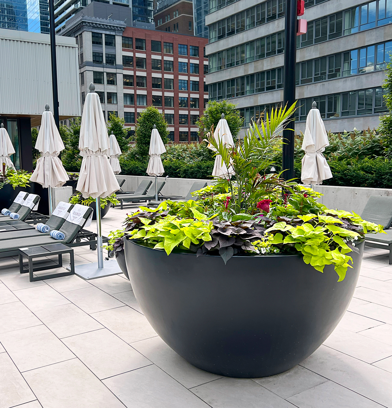 Old Town Fiberglass Matrix Planters at Sheraton Downtown Toronto
