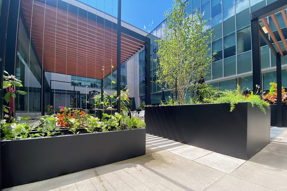 Join modular metal planters with an integrated framed trellis.